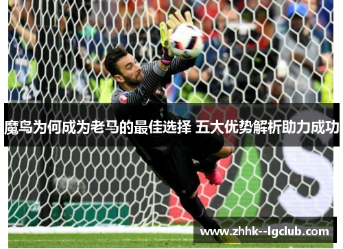 魔鸟为何成为老马的最佳选择 五大优势解析助力成功