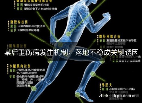 某后卫伤病发生机制:落地不稳成关键诱因 某后卫伤病发生机制:落地不稳成关键诱因